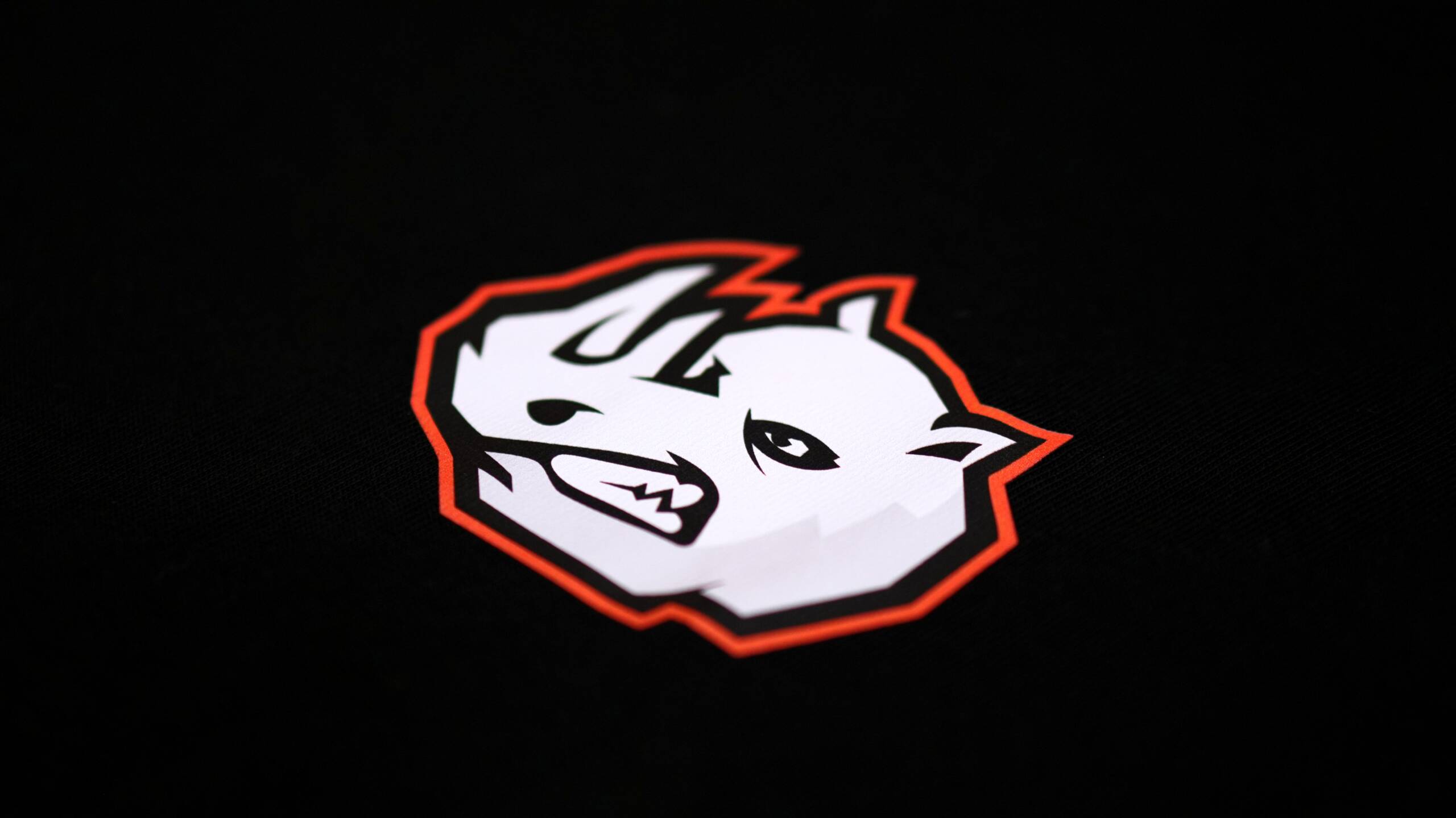 TEE SHIRT RIDE & PEACE RHINO NOIR – Image 4